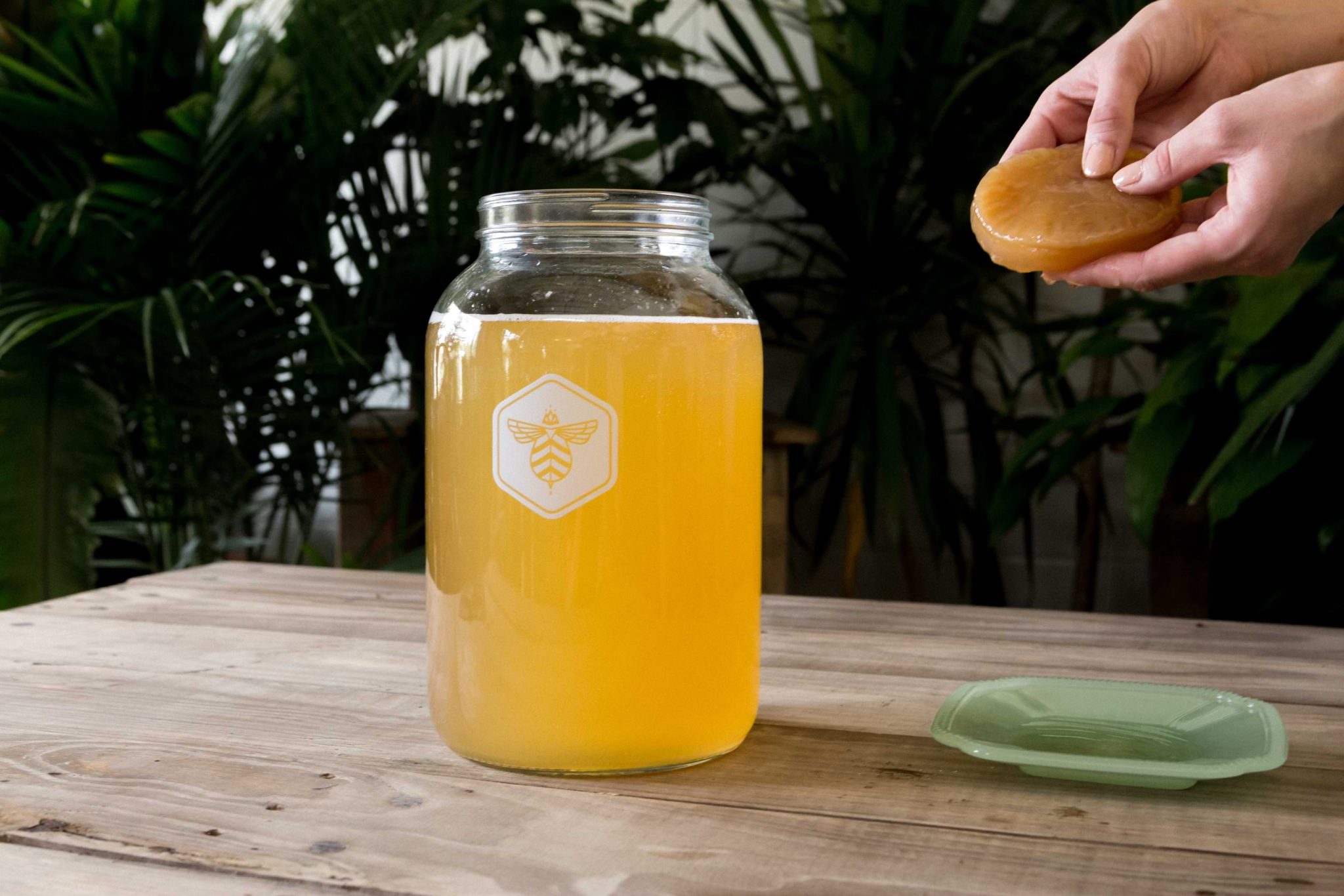 Top 15 Kombucha Brewing Kit Questions and Answers Craft a Brew Blog