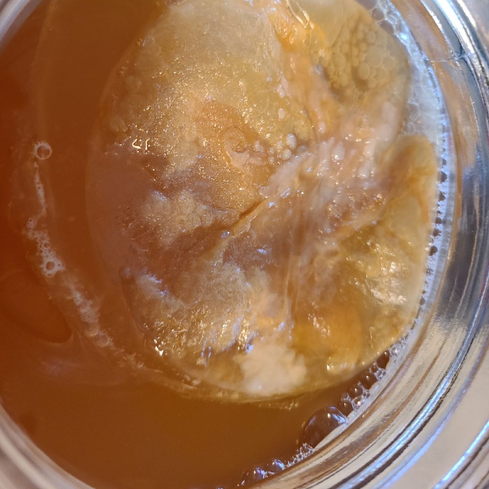 Top 15 Kombucha Brewing Kit Questions and Answers Craft a Brew Blog