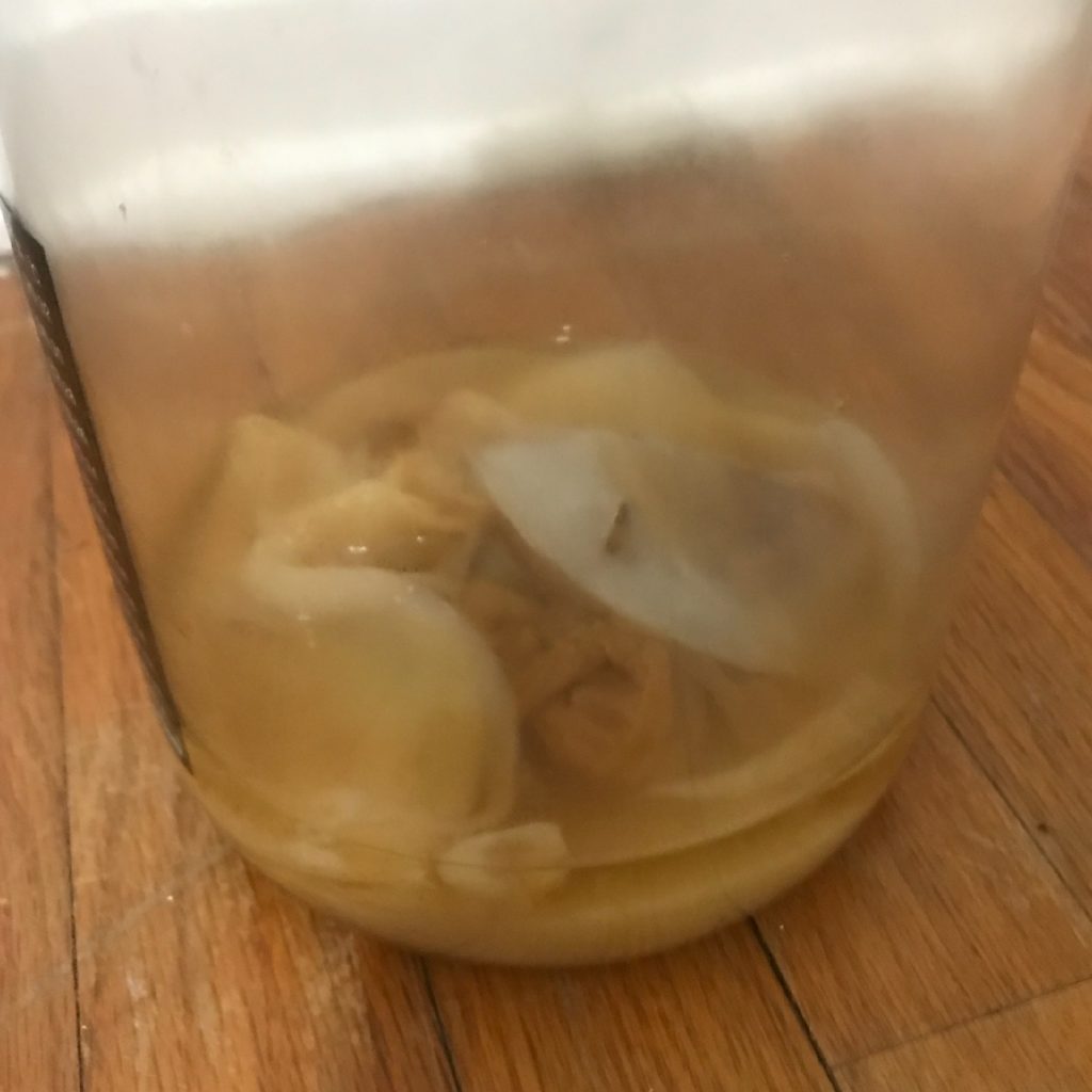 Top 15 Kombucha Brewing Kit Questions and Answers Craft a Brew Blog