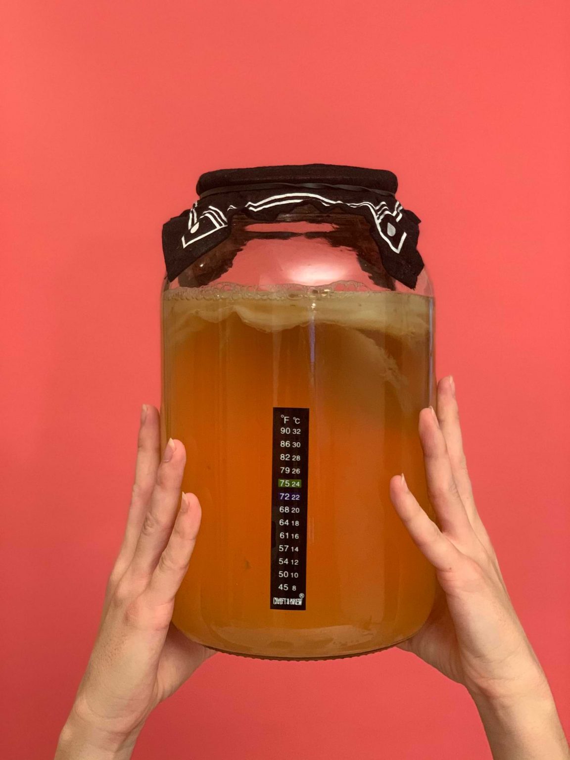 Top 15 Kombucha Brewing Kit Questions and Answers Craft a Brew Blog