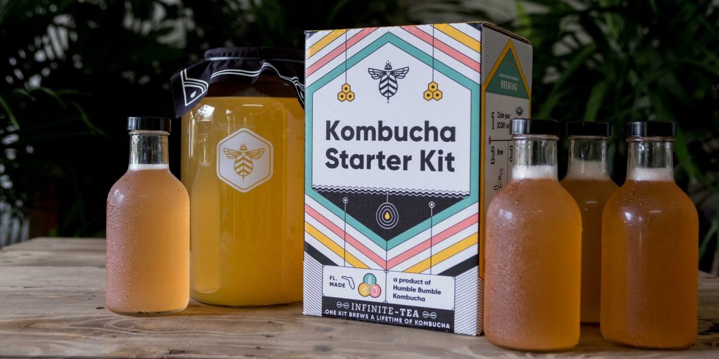 kombucha brewing kit