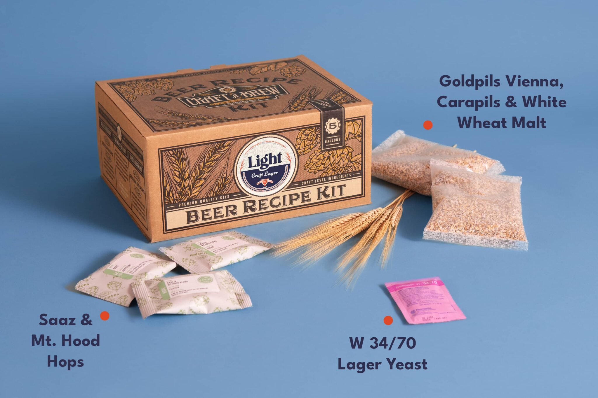 How to lager beer at home a beginner’s guide Craft a Brew Blog